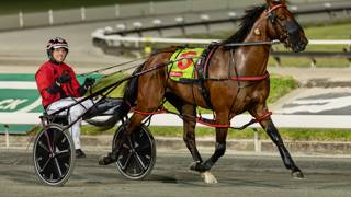 Dashman's harness look ahead - February 13